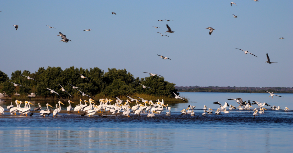 small towns in florida,Cedar Key