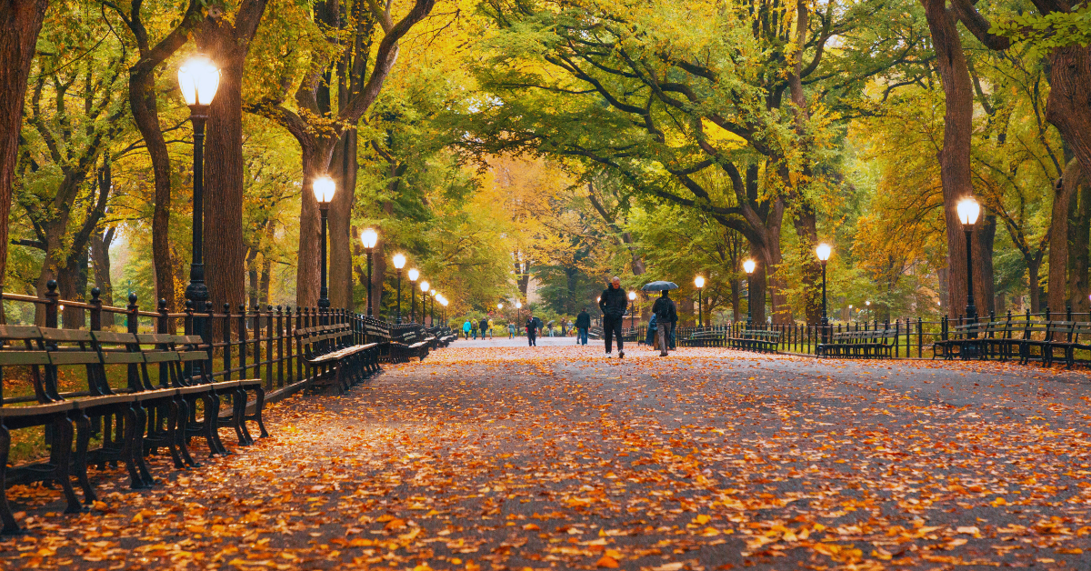 Best New York State Parks for Fall Foliage Camping | Autumn Escapes